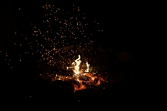 DSC00832